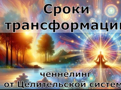 Сроки трансформаций.