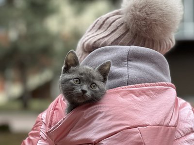 Травма детства.