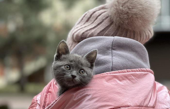 Травма детства.