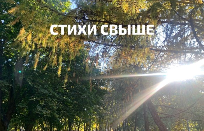 Узоры ясного сознания