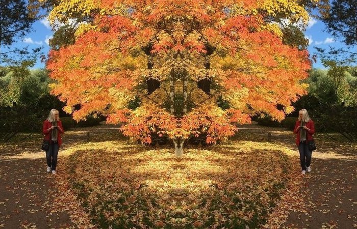 Интерактивные карты для самоисследования по книге