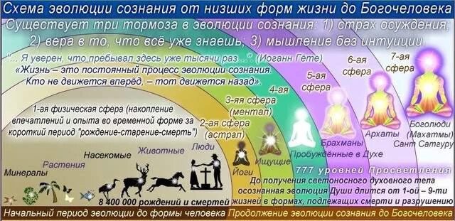Взаимосвязь уровней и энергий на каждом этапе развития человека.