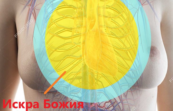 Точка опоры