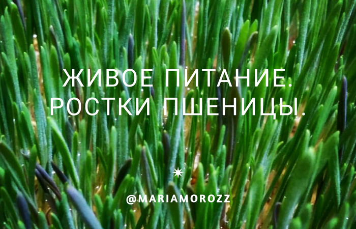 Живое питание. Ресурсное питание