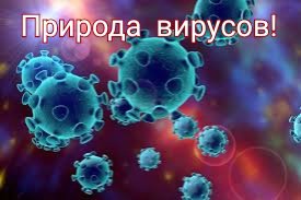 Природа вирусов.
