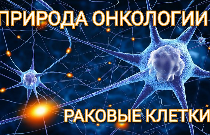 Природа онкологии. Раковые клетки.