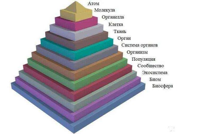Строение атома и Египетские пирамиды (Людмила Долгая)