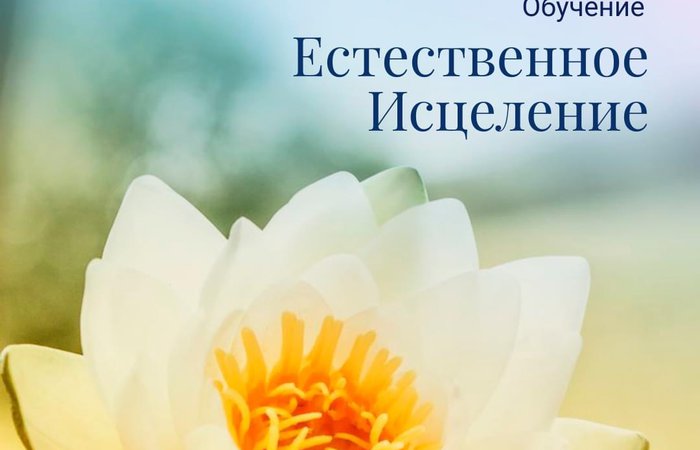 КРАЙОН КУРИРУЕТ ПРОЕКТ....