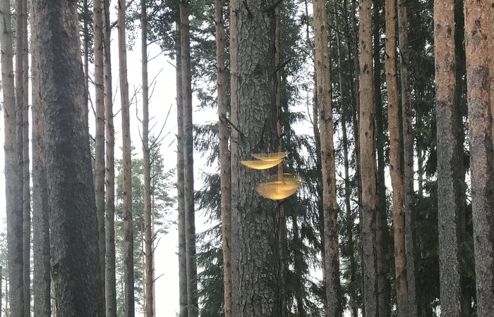 ЧУДЕСА В ГЛАЗАХ СМОТРЯЩЕГО.