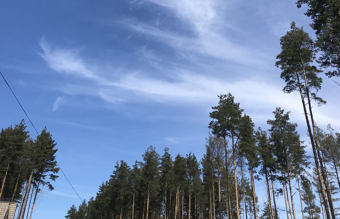 СПОСОБНОСТЬ. Что это такое?