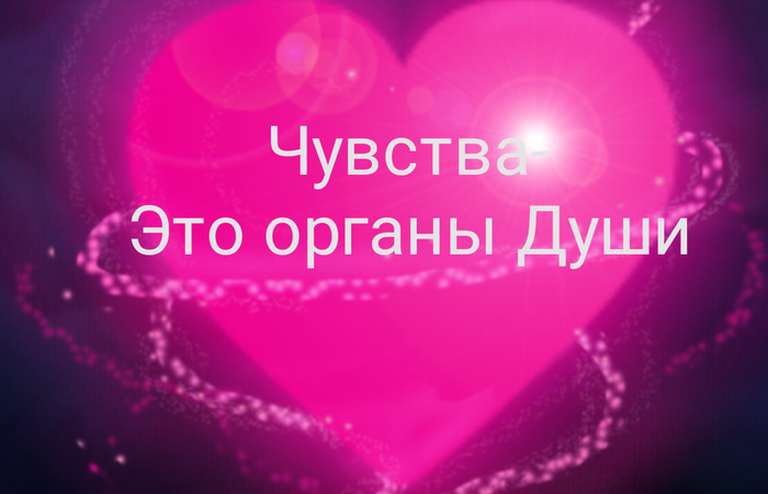 Что такое чувства? Как стать чувствительным?