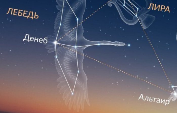 Обратная фильтрация Света