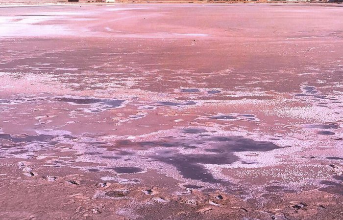 РАЗБЛОКИРОВАТЬ ПАМЯТЬ ПРОШЛЫХ ВОПЛОЩЕНИЙ