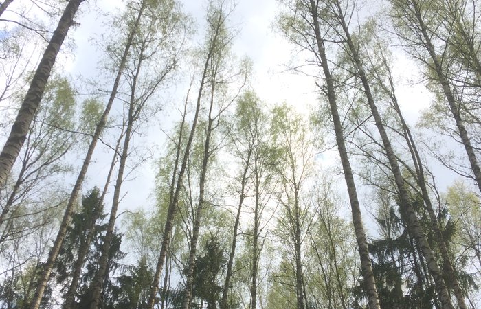«Весна пришла! Откроем сердце миру!»