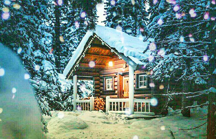 Я ХОЧУ ОКАЗАТЬСЯ В СНЕЖНОМ ЛЕСУ!