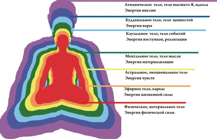 Физическое  , астральное и ментальное и эфирное тела.